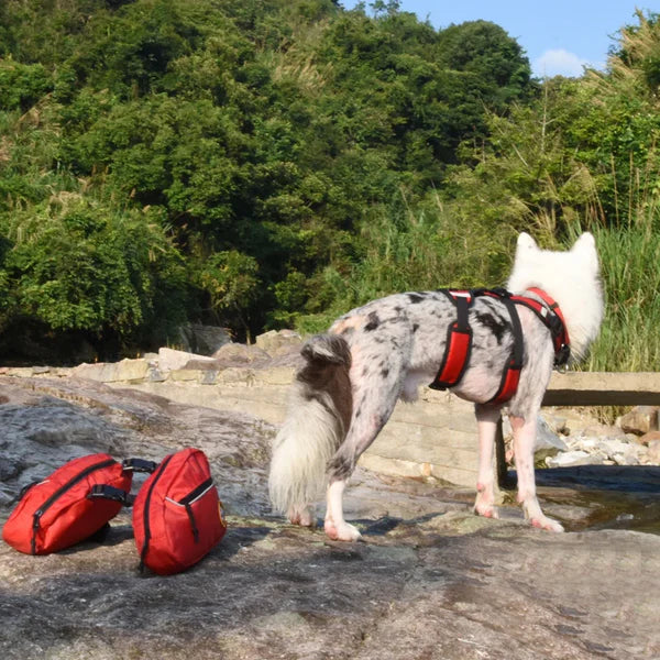 Quality Pet Products