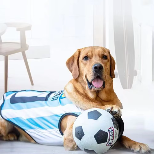 Dog Toys for Active Pups