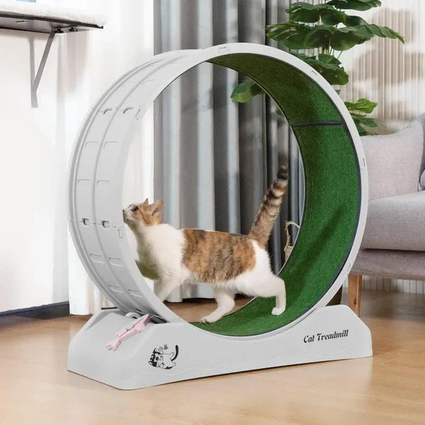Top Pet Products