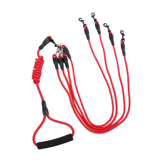 Reliable Pet Leashes