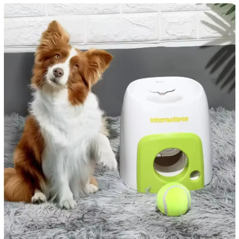 Affordable Pet Products