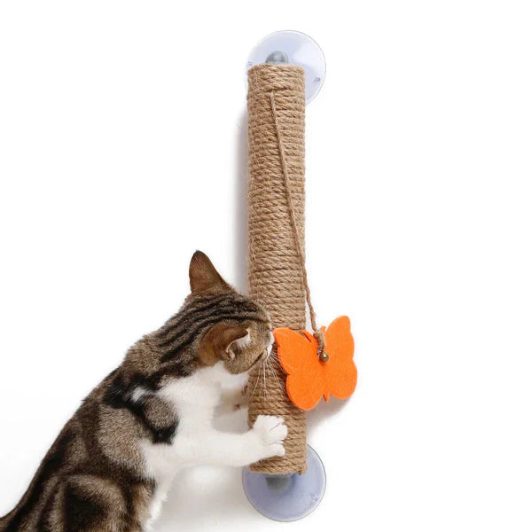 Hassle-Free Pet