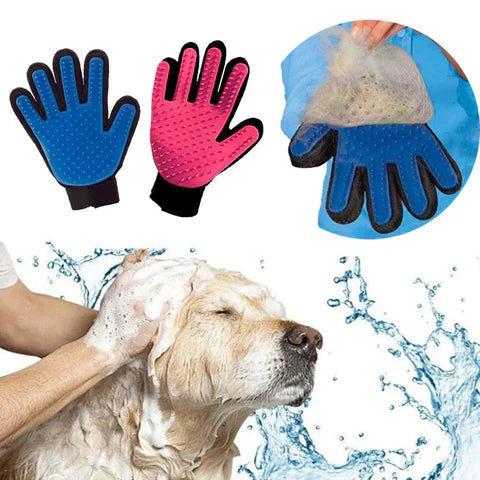 Pet Care Tips