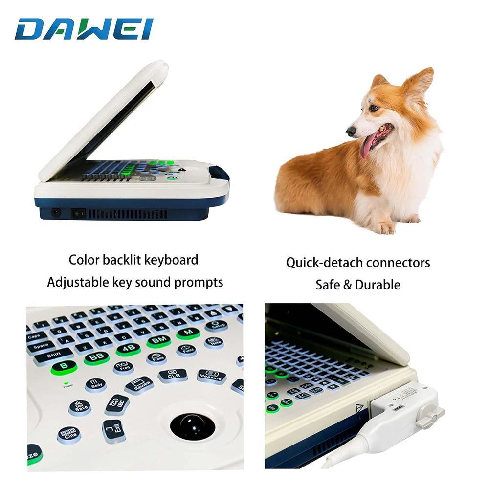 Portable Veterinary Ultrasound Scanner, Laptop Vet Pregnancy B-Ultra Machine, for Animal Farm Home Pet (B,B+B,4B,B+M,M)