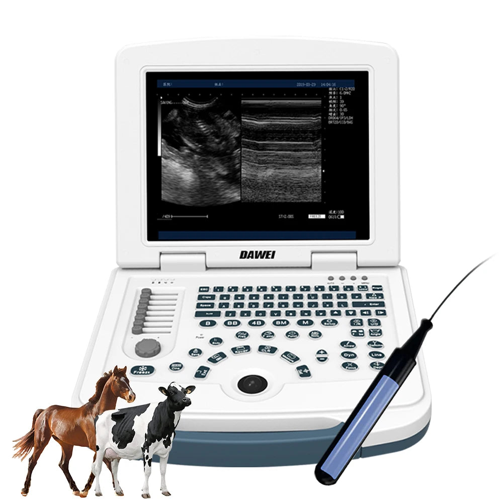 Portable Veterinary Ultrasound Scanner, Laptop Vet Pregnancy B-Ultra Machine, for Animal Farm Home Pet (B,B+B,4B,B+M,M)