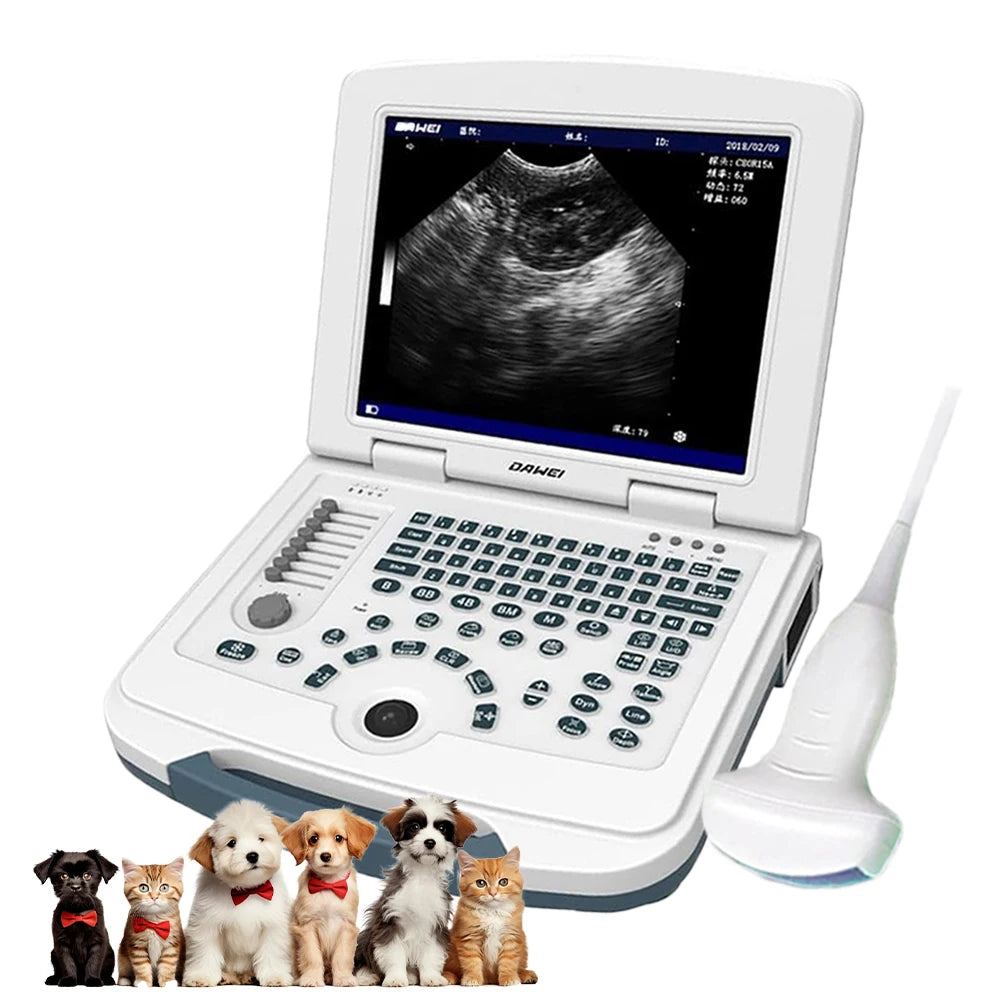 Portable Veterinary Ultrasound Scanner, Laptop Vet Pregnancy B-Ultra Machine, for Animal Farm Home Pet (B,B+B,4B,B+M,M)