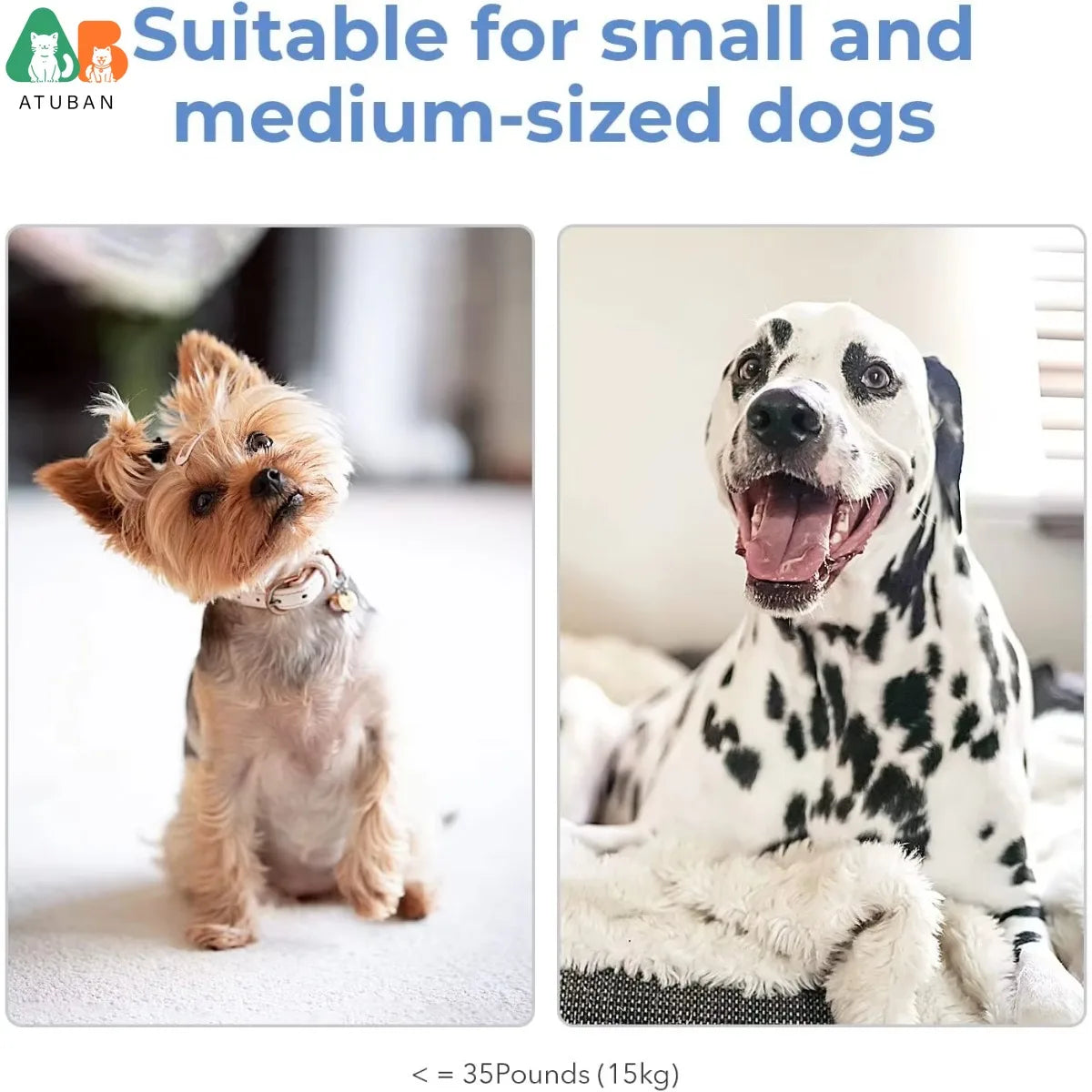 Interactive Jumping Dog Toy