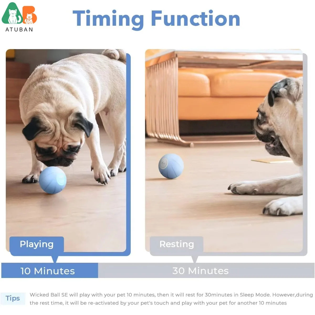 Interactive Jumping Dog Toy