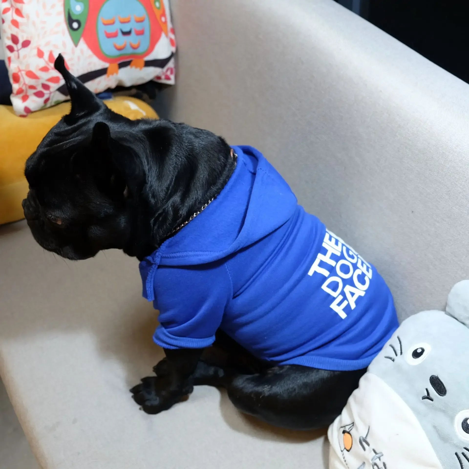 Autumn Winter Dog Hoodies