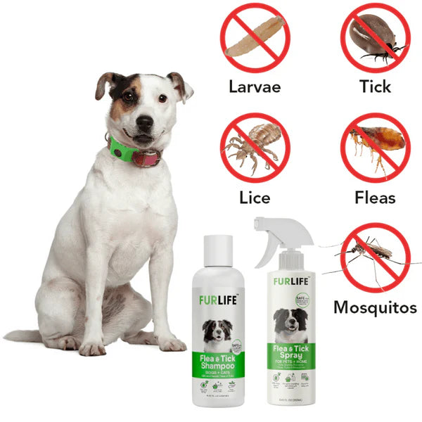 FurLife™ - Full Protection Bundle